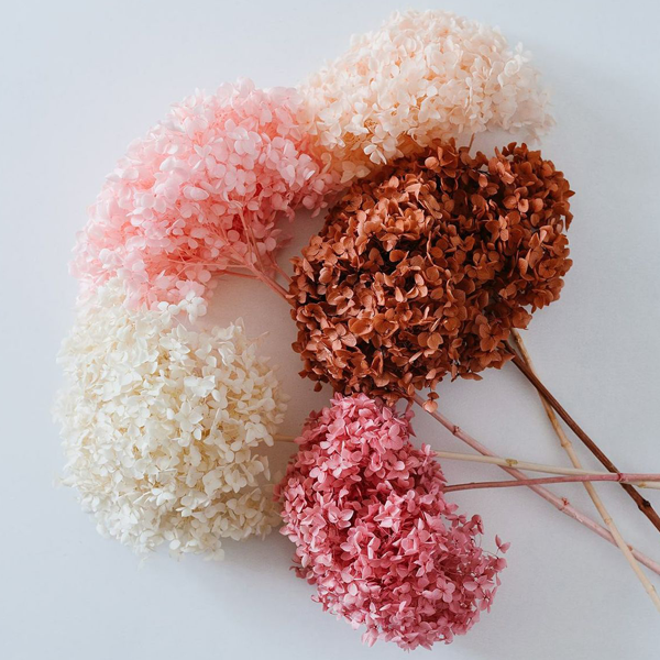 프리저브드 플라워